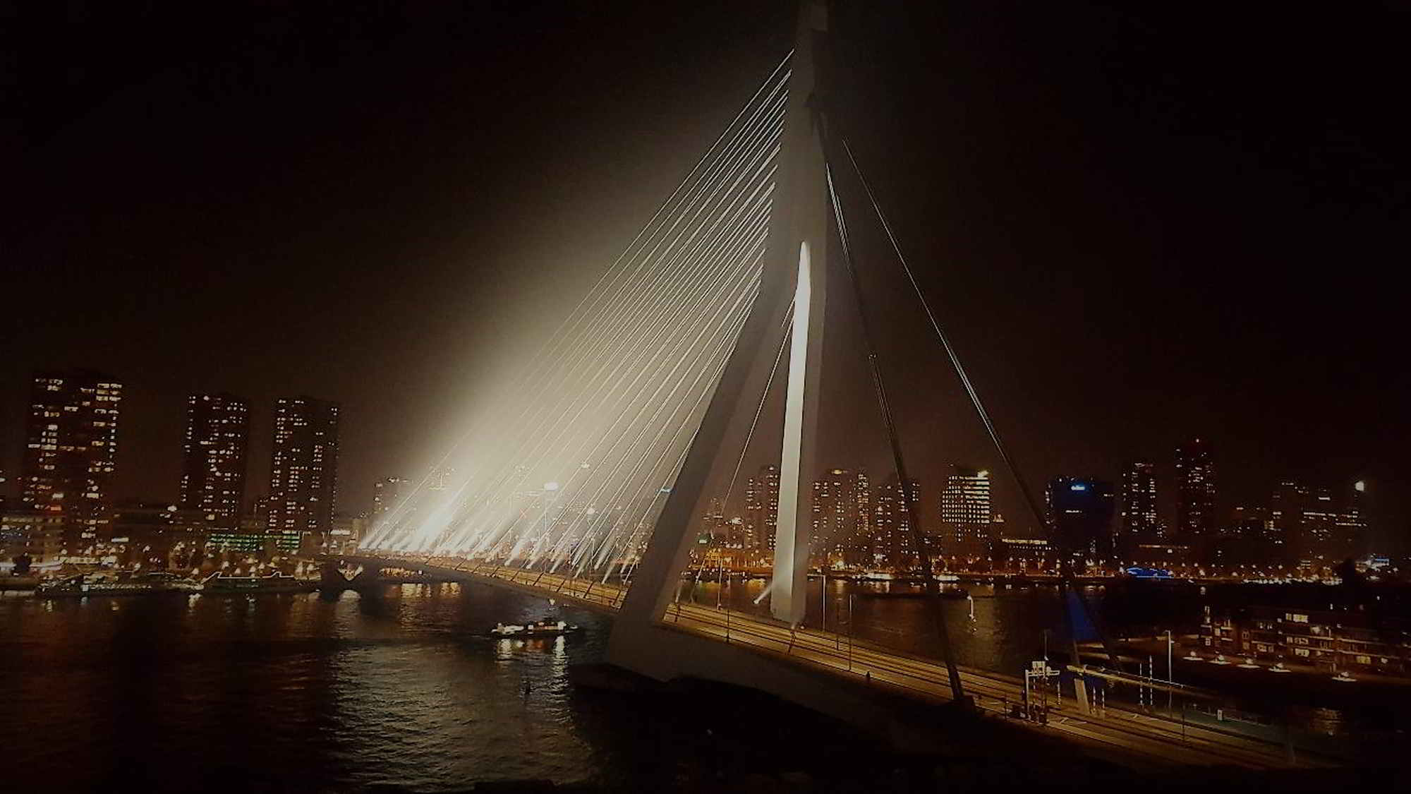 Blick auf Erasmusbrücke in Rotterdam